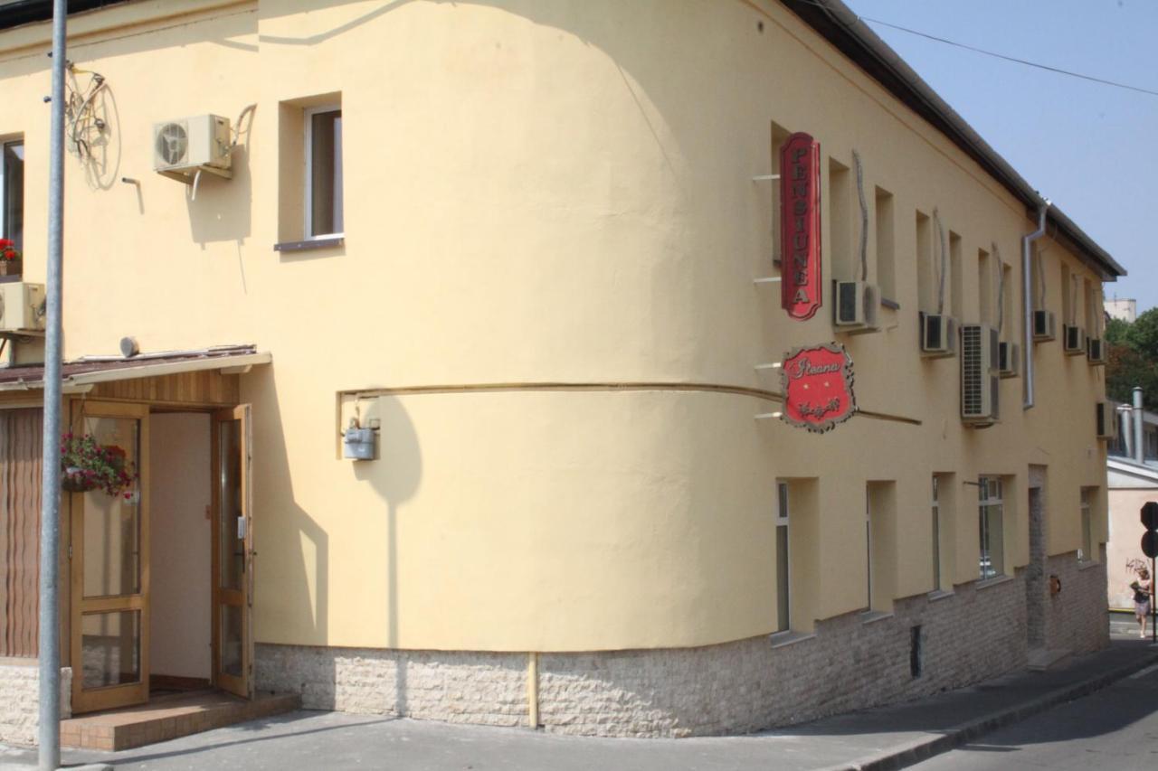 Pensiunea Ileana Sibiu Exterior foto